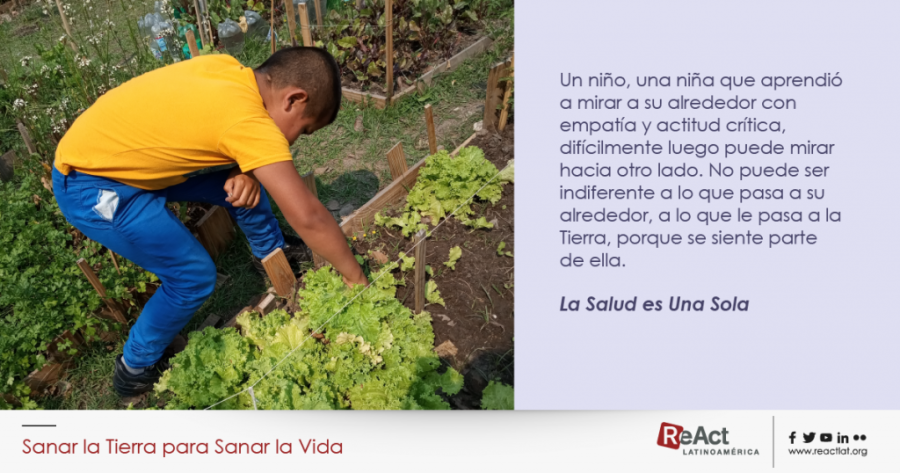 Huerta Escolar y Mundo Microbiano: Alimentación Saludable