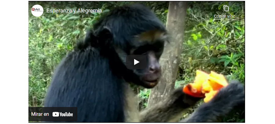 Esperanza y Alegremia - Video