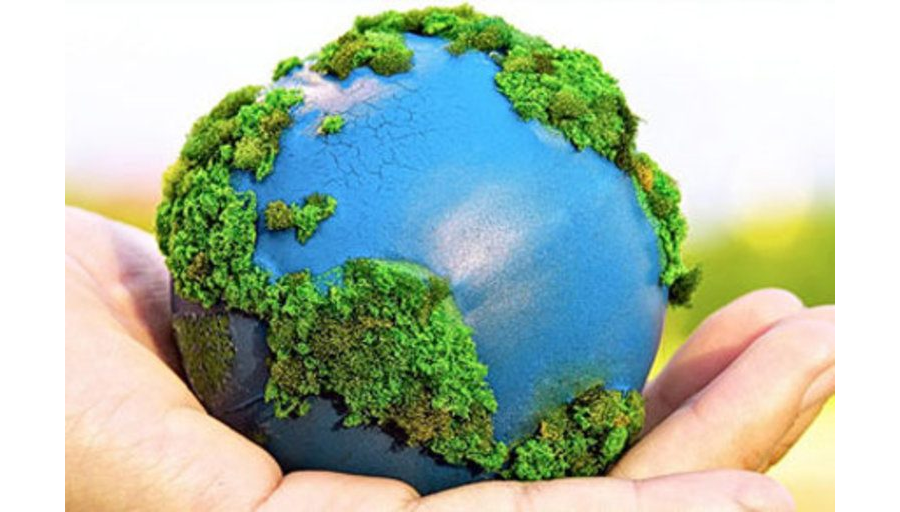 Cuidemos los antibióticos para cuidar la salud de la Madre Tierra, Animales y plantas. Video Animado